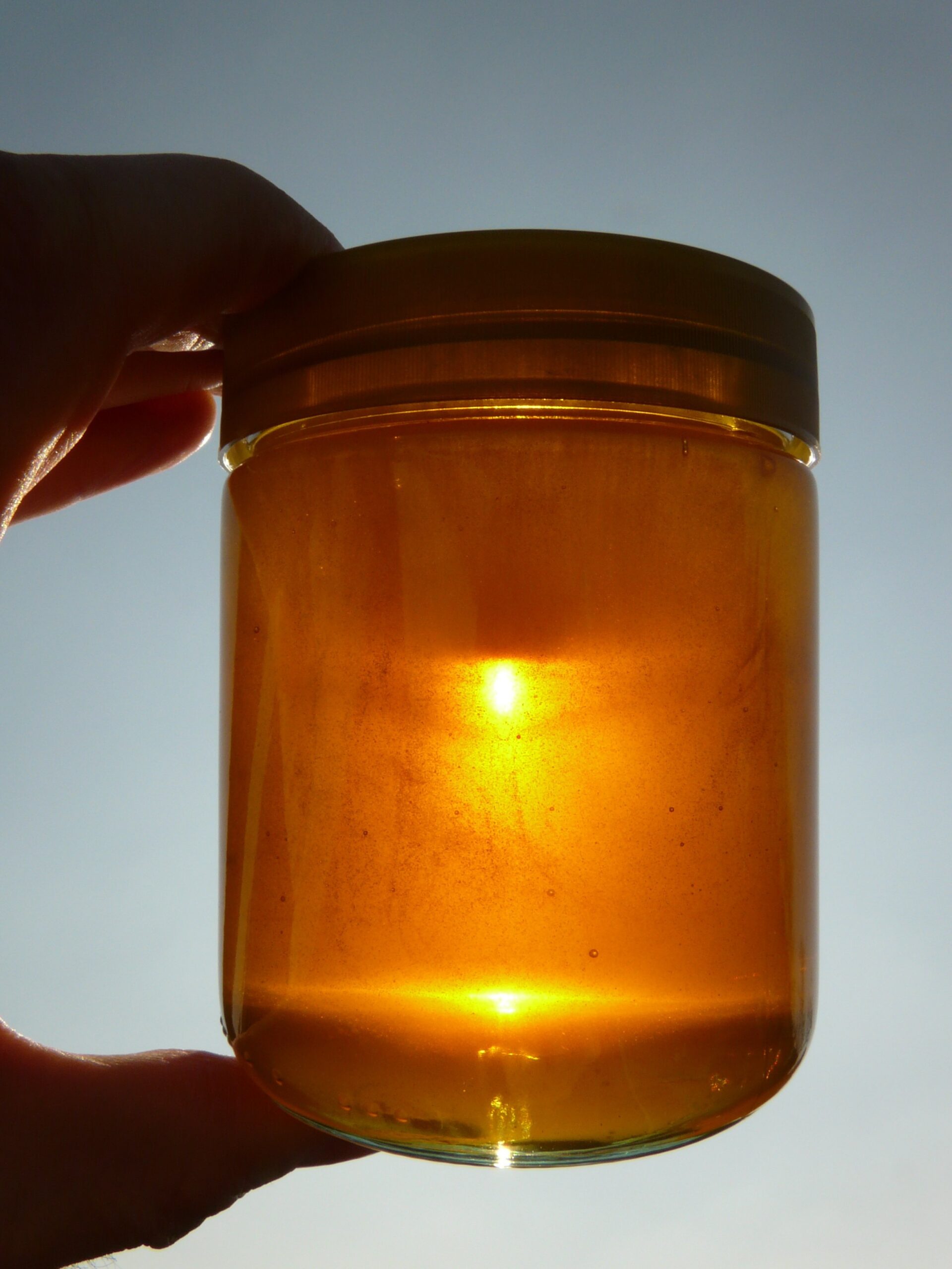 You are currently viewing Ghee – Alles in Butter?