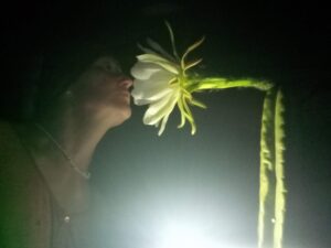 Mehr über den Artikel erfahren Duft liegt in der Luft…